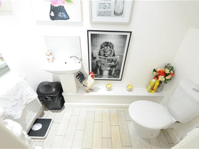 Picture 13